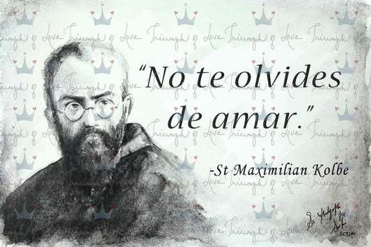 "No Te Olvidas de Amor" by SCTJM