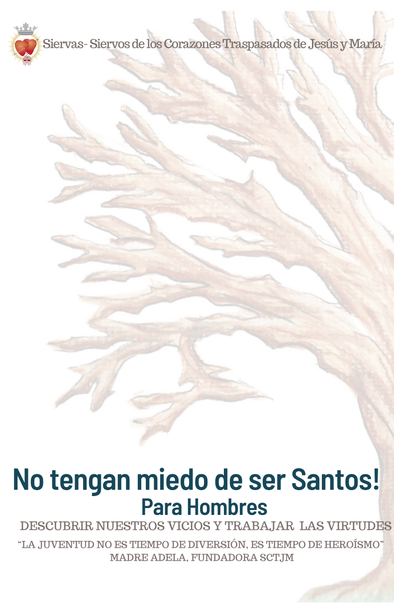 No tengan miedo de ser Santos! Para Hombres Escrito por SCTJM