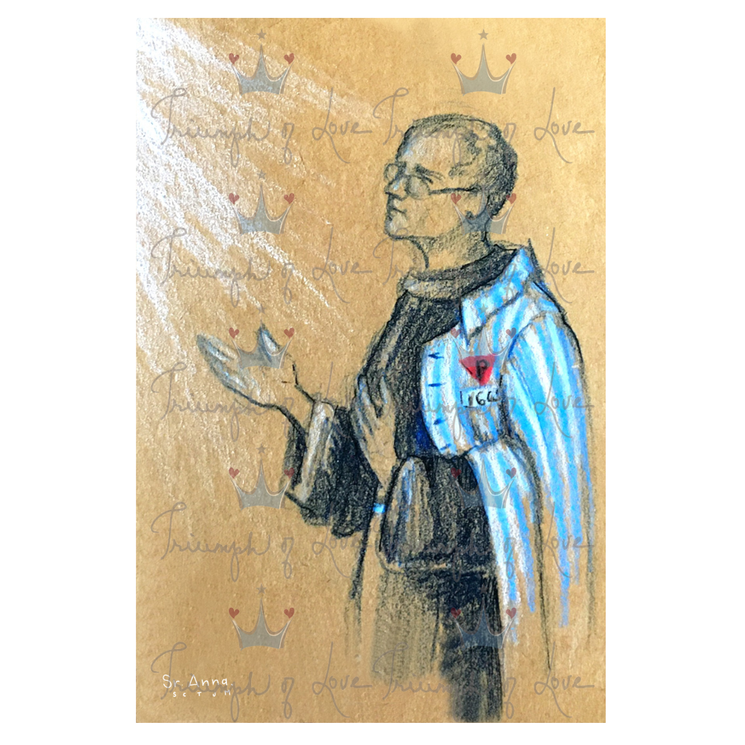 St. Maximilian Color Print by SCTJM