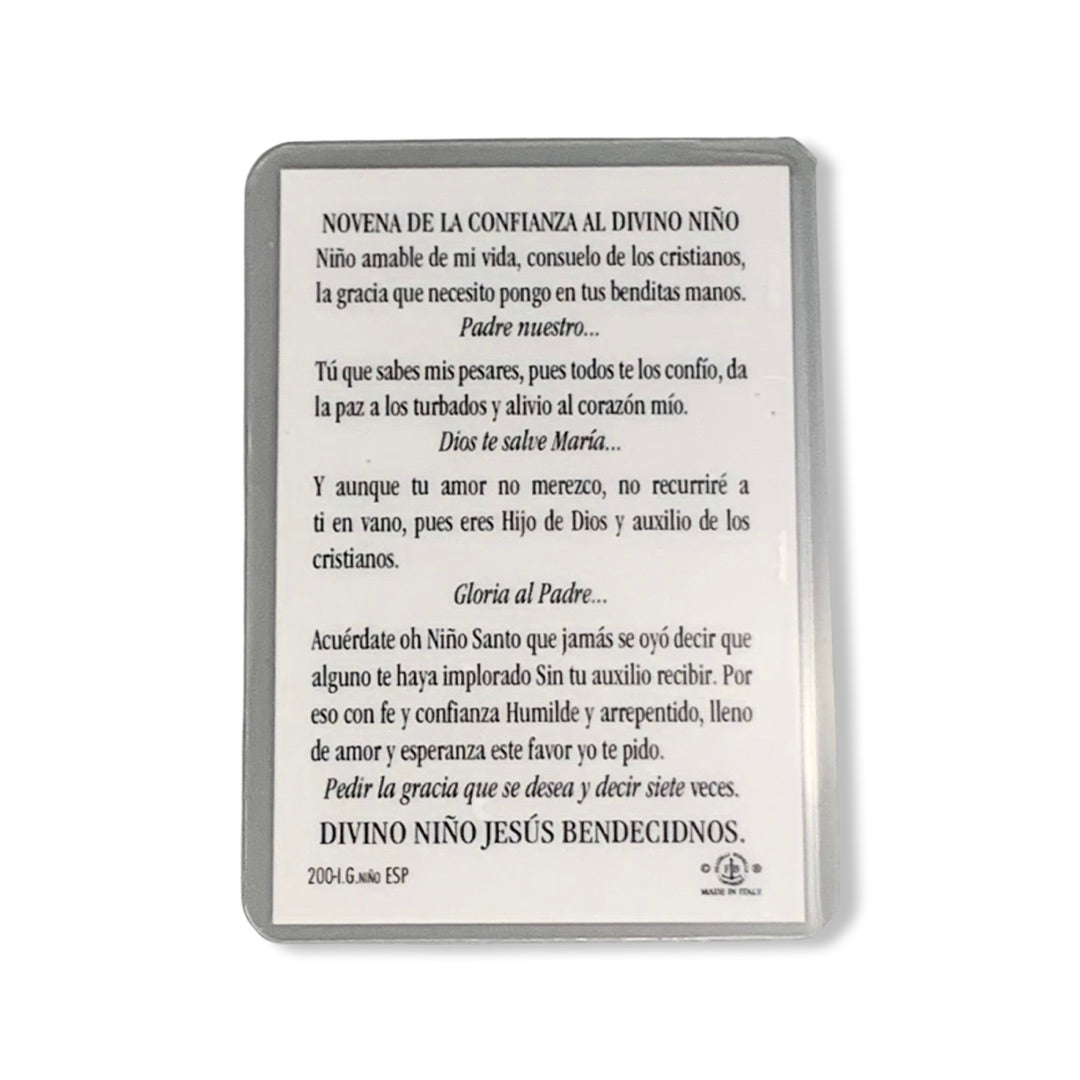 Divine Child Laminated Holy Card