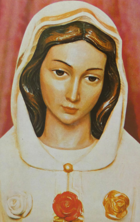 Our Lady of Mystical Rose Print
