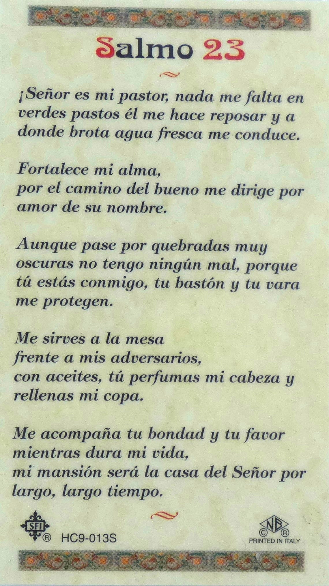 Good Shepherd Holy Card