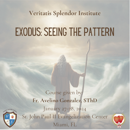 Exodus: Seeing the Pattern USB Set