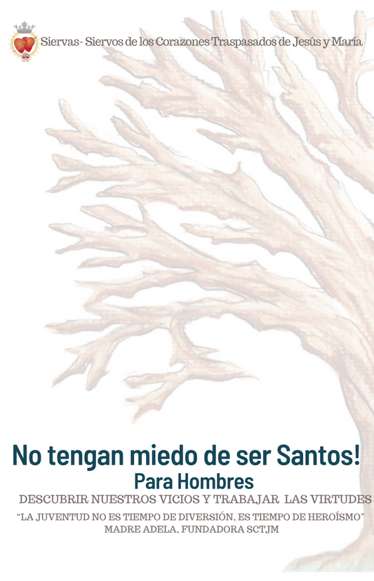 No tengan miedo de ser Santos! Para Hombres Escrito por SCTJM