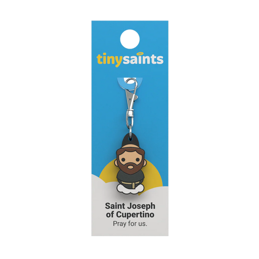 Saint Joseph of Cupertino Tiny Saint