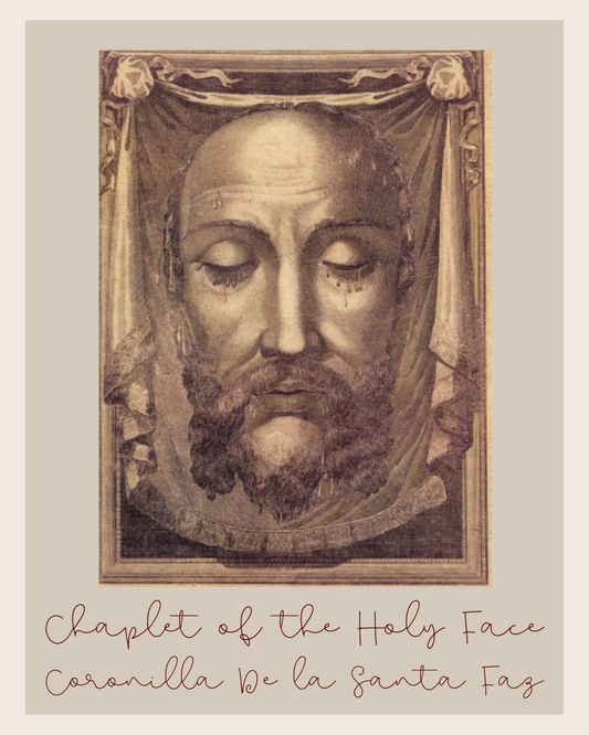 Purple Chaplet of the Holy Face - made by SCTJM