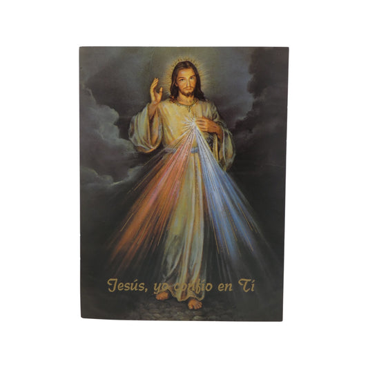 Divine Mercy Image in Spanish Print