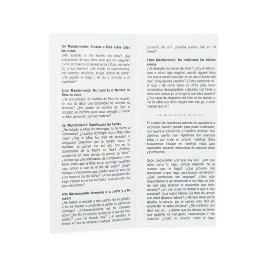 Examination of Conscience Written by Mother Adela Galindo, SCTJM - Foundress