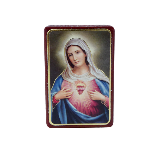 Immaculate Heart of Mary Standing Image