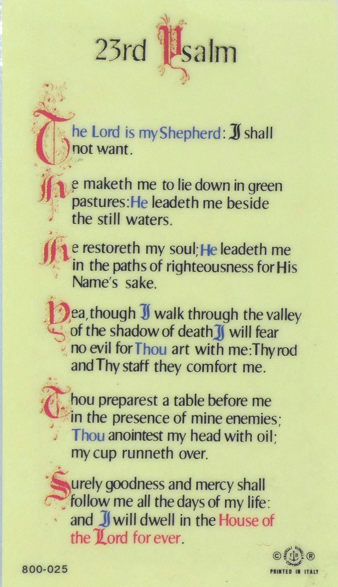 Good Shepherd Holy Card