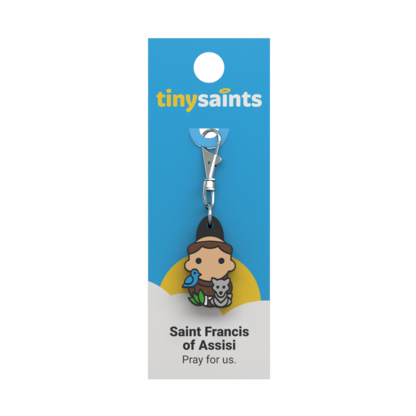 Saint Francis of Assisi Tiny Saint